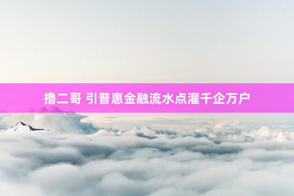 撸二哥 引普惠金融流水点灌千企万户