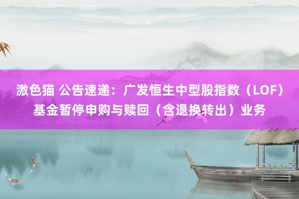 激色猫 公告速递：广发恒生中型股指数（LOF）基金暂停申购与赎回（含退换转出）业务