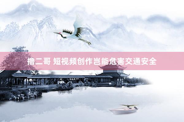 撸二哥 短视频创作岂能危害交通安全