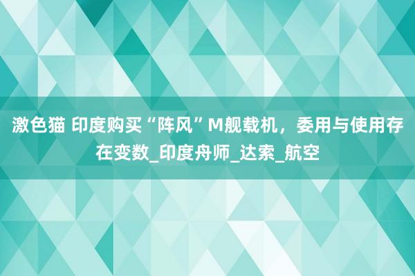 激色猫 印度购买“阵风”M舰载机，委用与使用存在变数_印度舟师_达索_航空