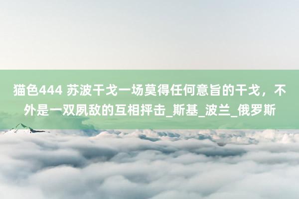 猫色444 苏波干戈一场莫得任何意旨的干戈，不外是一双夙敌的互相抨击_斯基_波兰_俄罗斯