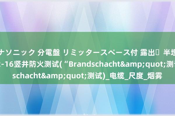 パナソニック 分電盤 リミッタースペース付 露出・半埋込両用形 DIN 4102-16竖井防火测试(“Brandschacht&quot;测试)_电缆_尺度_烟雾