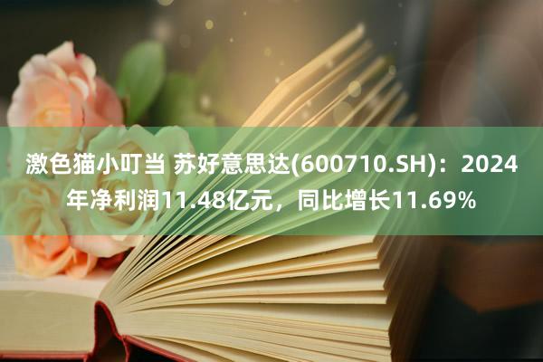 激色猫小叮当 苏好意思达(600710.SH)：2024年净利润11.48亿元，同比增长11.69%