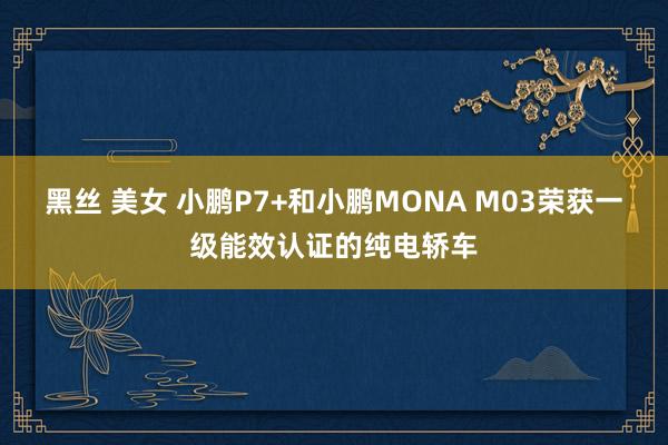 黑丝 美女 小鹏P7+和小鹏MONA M03荣获一级能效认证的纯电轿车