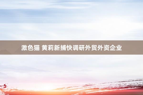 激色猫 黄莉新捕快调研外贸外资企业
