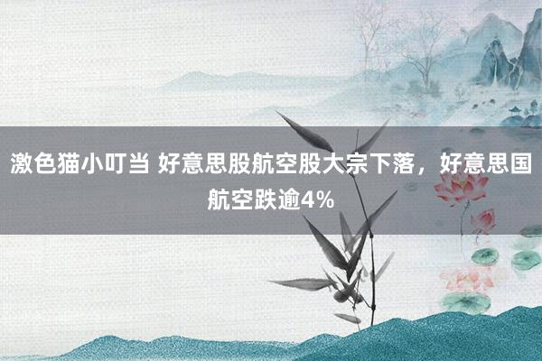 激色猫小叮当 好意思股航空股大宗下落，好意思国航空跌逾4%
