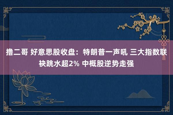 撸二哥 好意思股收盘：特朗普一声吼 三大指数联袂跳水超2% 中概股逆势走强