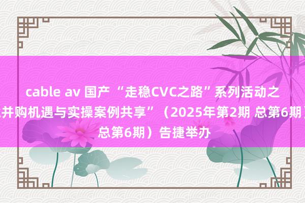 cable av 国产 “走稳CVC之路”系列活动之“民众跨境并购机遇与实操案例共享”（2025年第2期 总第6期）告捷举办