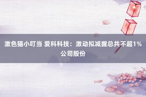 激色猫小叮当 爱科科技：激动拟减握总共不超1%公司股份