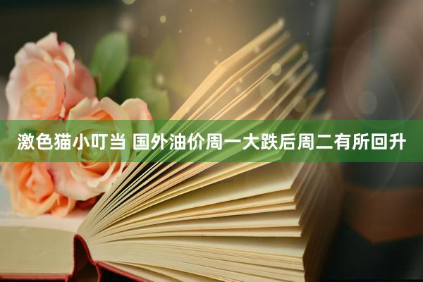 激色猫小叮当 国外油价周一大跌后周二有所回升