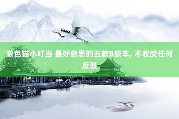 激色猫小叮当 最好意思的五款B级车， 不收受任何反驳