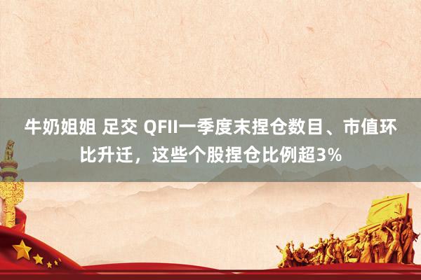 牛奶姐姐 足交 QFII一季度末捏仓数目、市值环比升迁，这些个股捏仓比例超3%