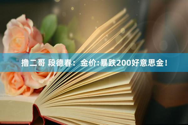 撸二哥 段德春：金价:暴跌200好意思金！