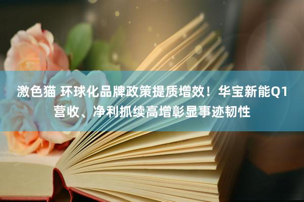 激色猫 环球化品牌政策提质增效！华宝新能Q1营收、净利抓续高增彰显事迹韧性