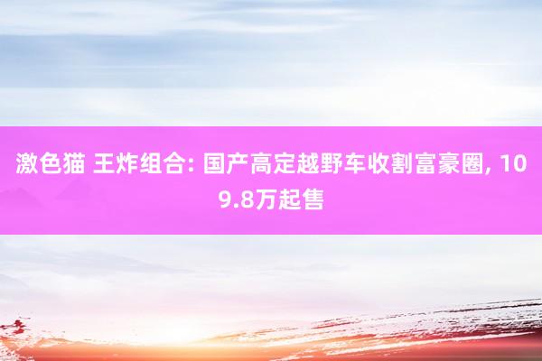 激色猫 王炸组合: 国产高定越野车收割富豪圈， 109.8万起售