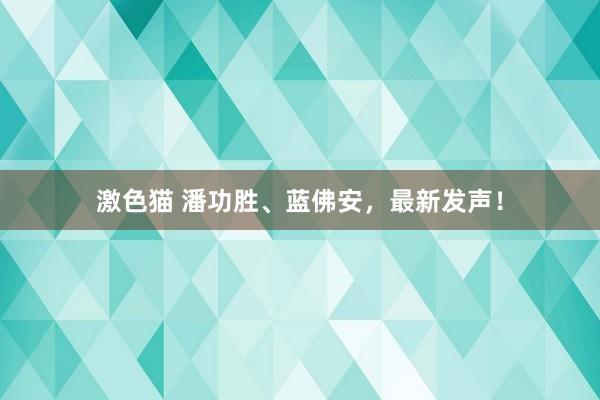 激色猫 潘功胜、蓝佛安，最新发声！