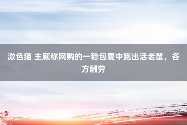 激色猫 主顾称网购的一稔包裹中跑出活老鼠，各方酬劳