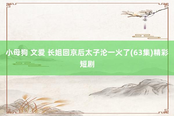 小母狗 文爱 长姐回京后太子沦一火了(63集)精彩短剧