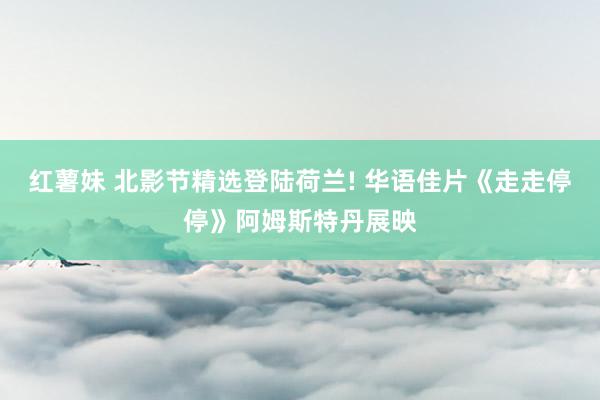 红薯妹 北影节精选登陆荷兰! 华语佳片《走走停停》阿姆斯特丹展映