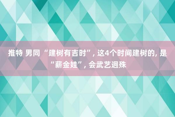 推特 男同 “建树有吉时”， 这4个时间建树的， 是“薪金娃”， 会武艺迥殊